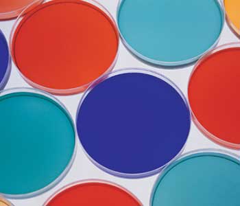 SPECIALITY CHEMICALS